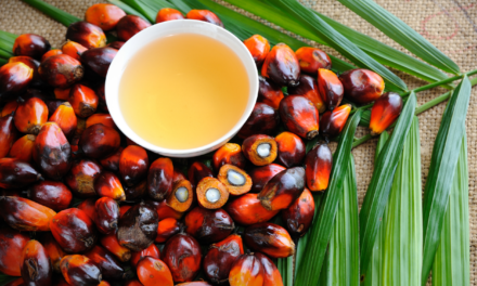 热带油脂:棕榈油的独家新闻